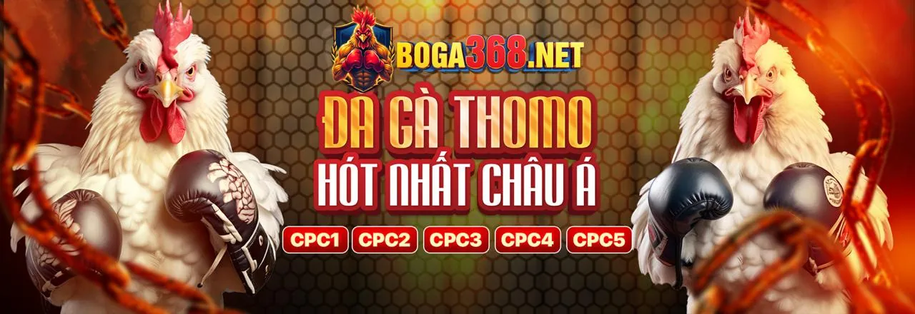 Sumclub cam kết chơi có trách nhiệm và đóng góp cộng đồng